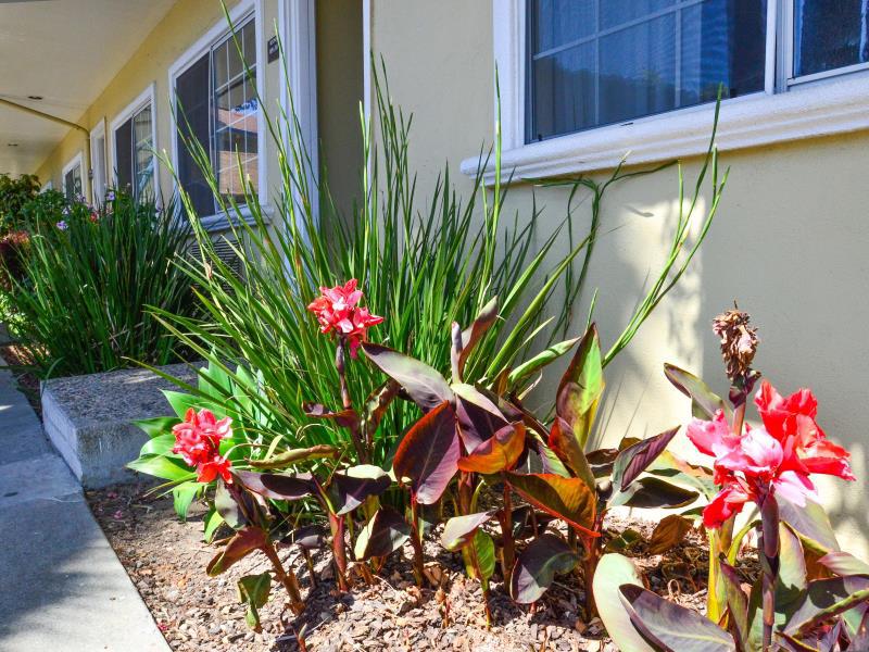 Bay Front Inn - Downtown Santa Cruz - image 4