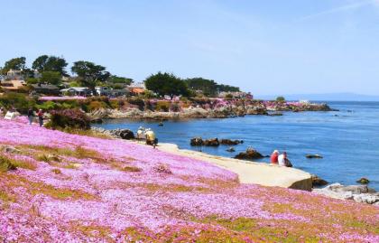 Sea Breeze Inn - Pacific Grove - image 3