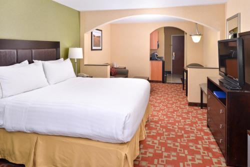 Holiday Inn Express Hotel & Suites El Centro - image 2