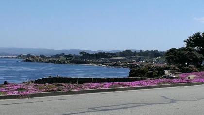 Pacific Grove Inn - image 4