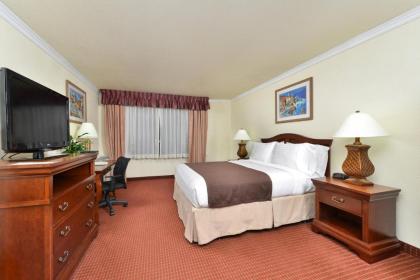 Holiday Inn Rancho Cordova - Northeast Sacramento an IHG Hotel - image 2