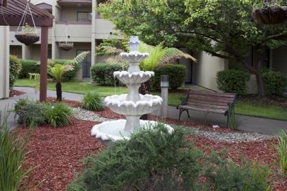 Best Western Plus Wine Country Inn & Suites - image 4