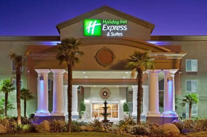 Holiday Inn Express Hotel & Suites Modesto-Salida an IHG Hotel - image 4