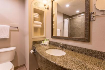 Holiday Inn Express Hotel & Suites Manteca an IHG Hotel - image 4