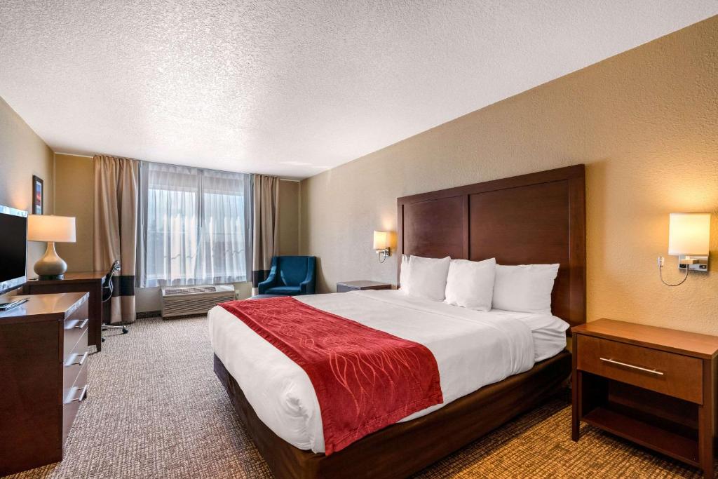 Comfort Inn Lathrop Stockton Airport - image 2