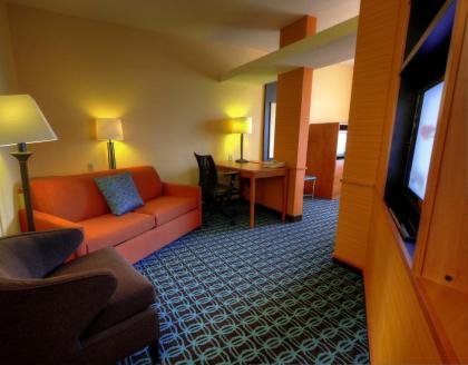 Fairfield Inn and Suites Sacramento Airport Natomas - image 4