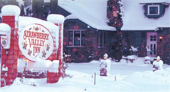 Strawberry Valley Inn - image 4