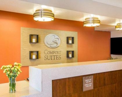 Comfort Suites Clovis - image 2