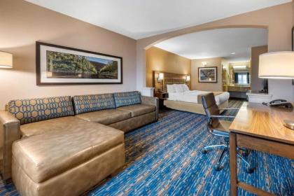 Comfort Inn & Suites - image 3