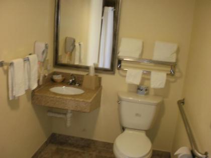 Executive Inn Mojave - image 5