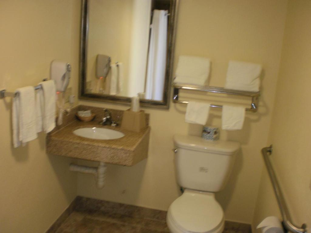 Executive Inn Mojave - image 5