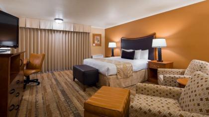 Best Western Plus Royal Oak Hotel - image 2