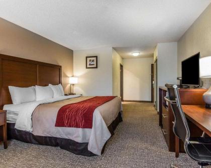 Comfort Inn Yreka I-5 - image 3