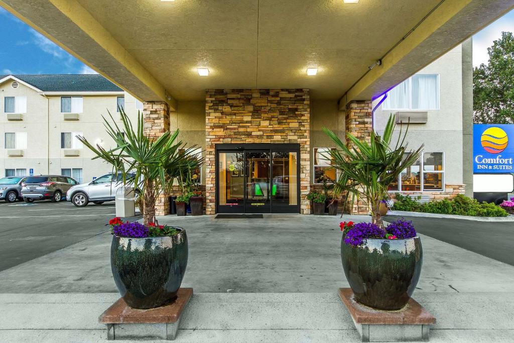 Comfort Inn & Suites Redwood Country - main image