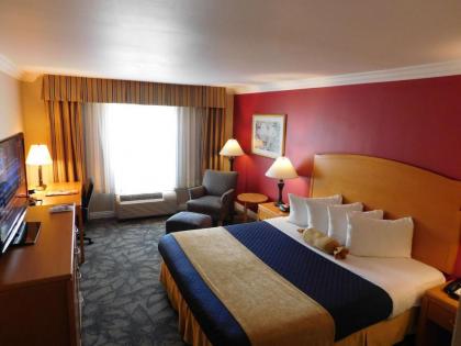 Best Western Plus - Anaheim Orange County Hotel - image 5