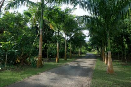 Hacienda Tres Casitas - image 12