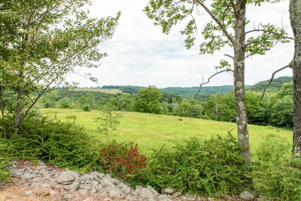 Tentrr - Fields of Dreams at Callicoon - image 2