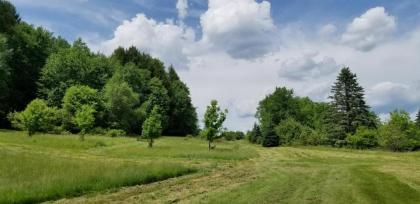 Tentrr - Fields of Dreams at Callicoon - image 4