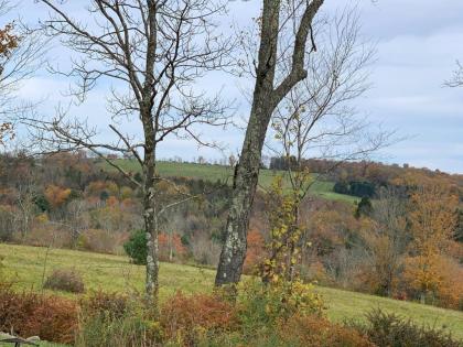 Tentrr - Fields of Dreams at Callicoon - image 5