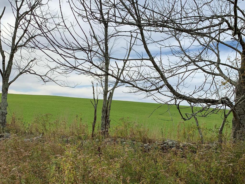 Tentrr - Fields of Dreams at Callicoon - image 6