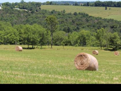 Tentrr - Fields of Dreams at Callicoon - image 7