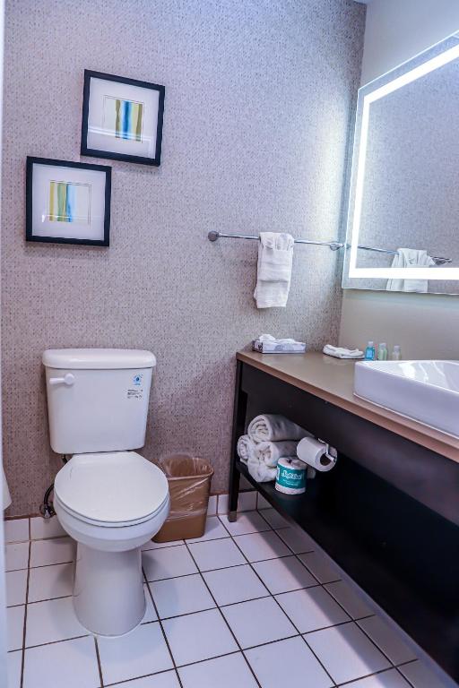 Quality Inn & Suites Camarillo-Oxnard - image 5