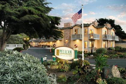 Pelican Inn & Suites - image 3