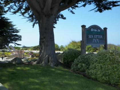 Sea Otter Inn - image 13