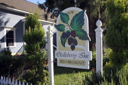 Olallieberry Inn Bed and Breakfast - image 6