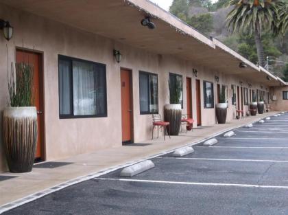 Cambria Palms Motel - image 4