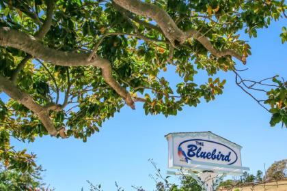 Bluebird Inn Cambria Ca