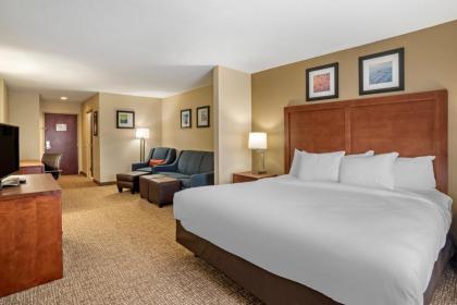 Comfort Inn & Suites Cambridge - image 5