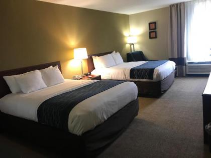 Comfort Inn - image 14