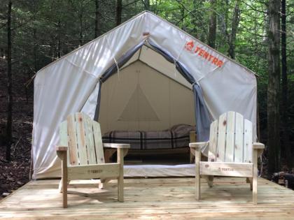 Luxury tents in Camden Maine