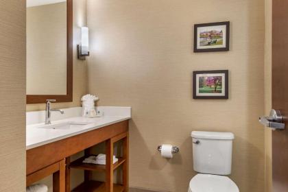 Comfort Suites Camp Hill-Harrisburg West - image 10