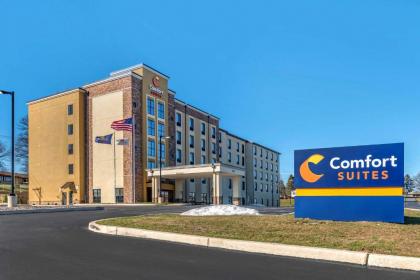 Comfort Suites Camp Hill-Harrisburg West - image 3