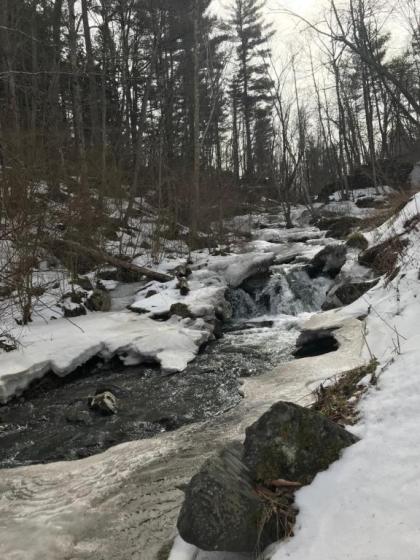 The Inn at Shaker Mill Falls - image 12