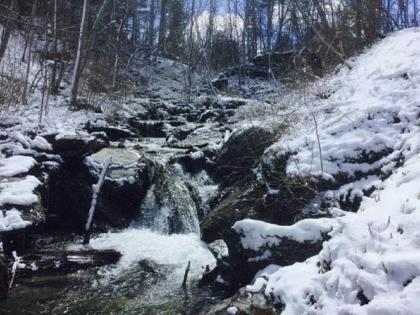 The Inn at Shaker Mill Falls - image 8