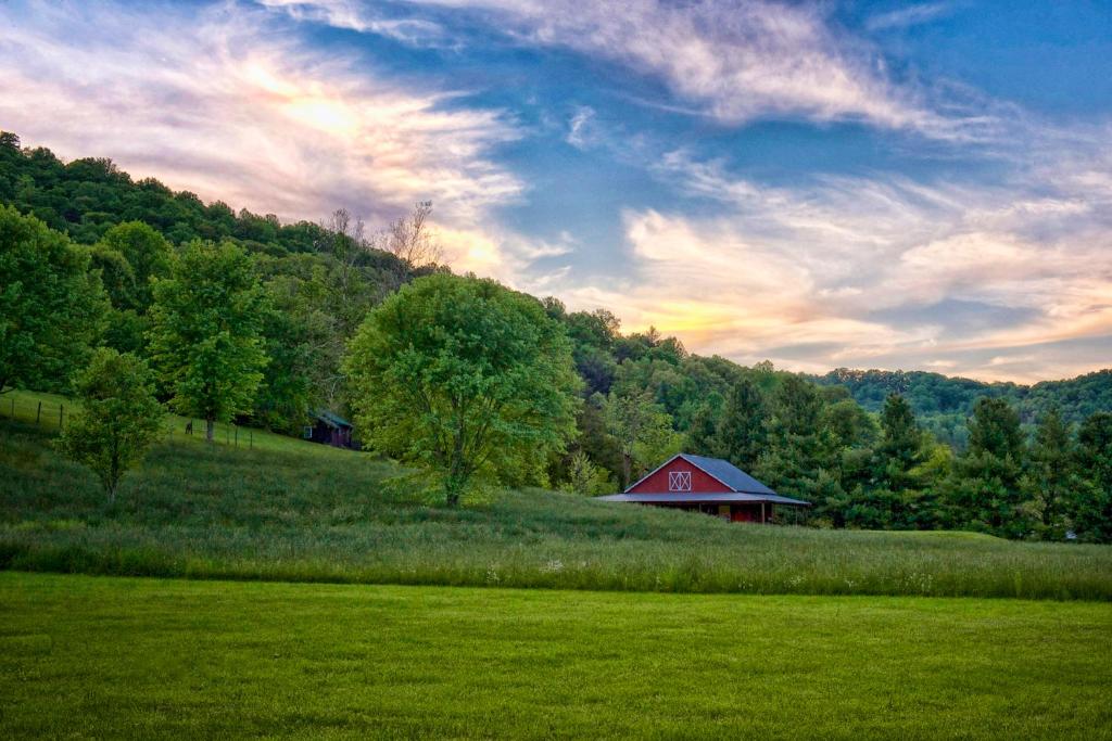 Mountain Springs Cabins - main image