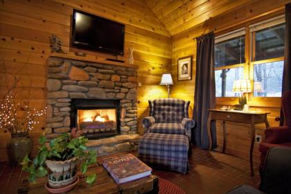 Mountain Springs Cabins - image 3