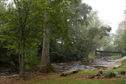 Mountain Springs Cabins - image 8