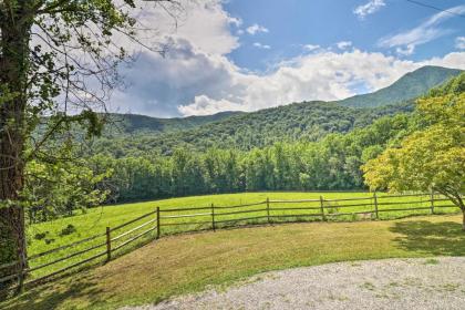 Splendid Asheville Area Cabin with Mt Pisgah Views! - image 6