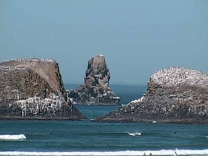 Webb's Scenic Surf - image 5