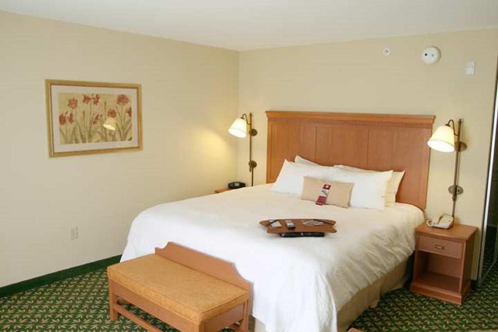 Hampton Inn Canon City - image 2