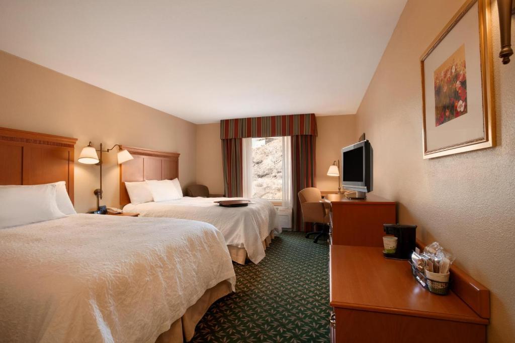 Hampton Inn Canon City - image 7