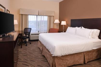 Holiday Inn Express & Suites Washington - Meadow Lands an IHG Hotel - image 14