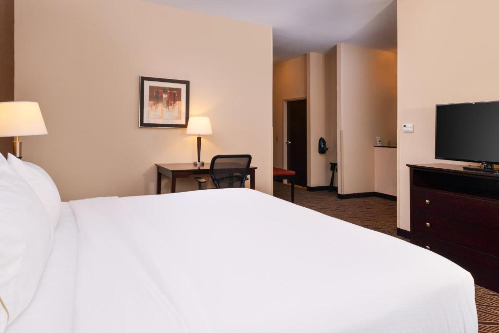 Holiday Inn Express & Suites Washington - Meadow Lands an IHG Hotel - image 2