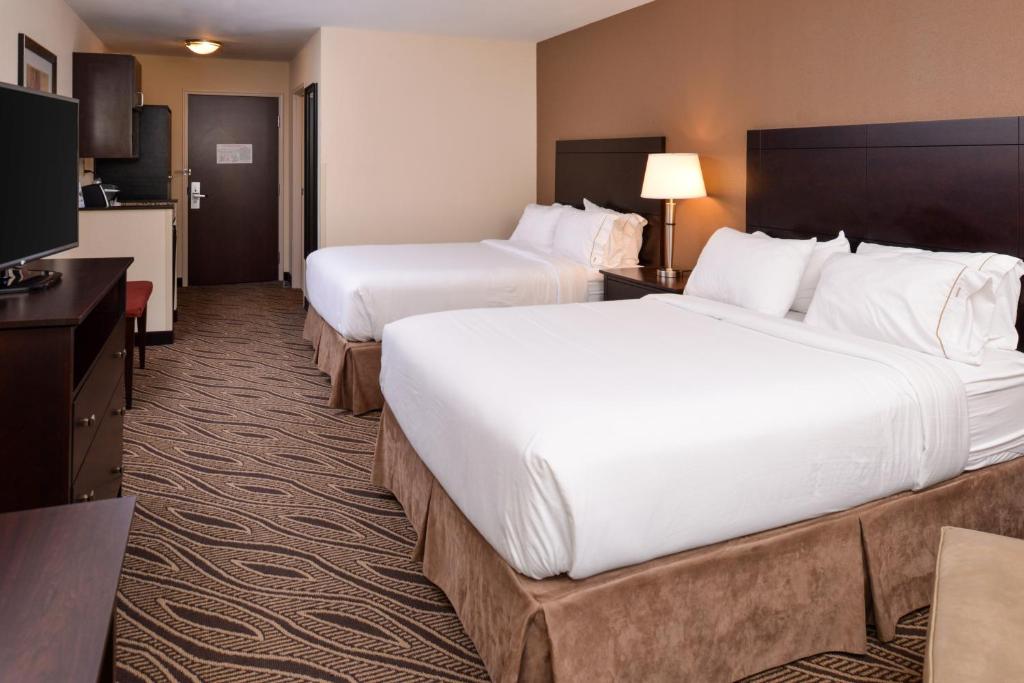 Holiday Inn Express & Suites Washington - Meadow Lands an IHG Hotel - image 4