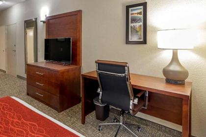 Comfort Inn & Suites - image 10