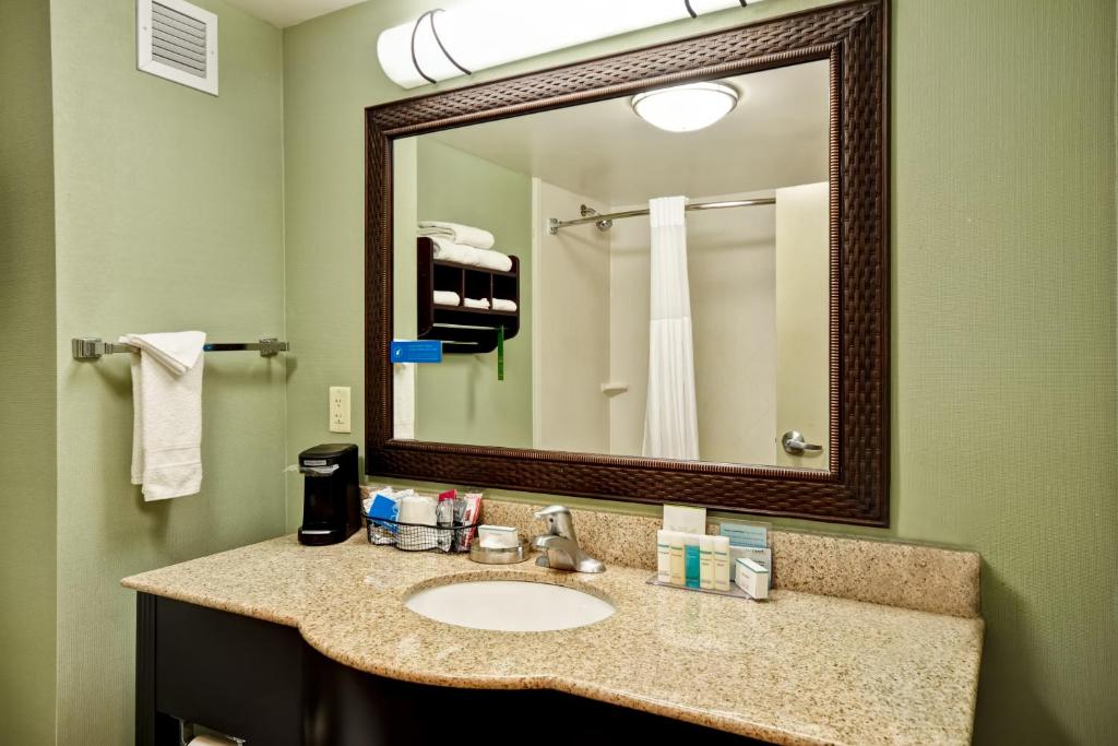 Hampton Inn & Suites Detroit-Canton - image 6